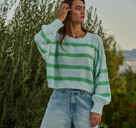 Striped Crewneck Long Sleeve Top