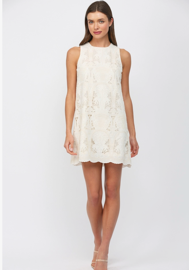 Lace Shift Dress