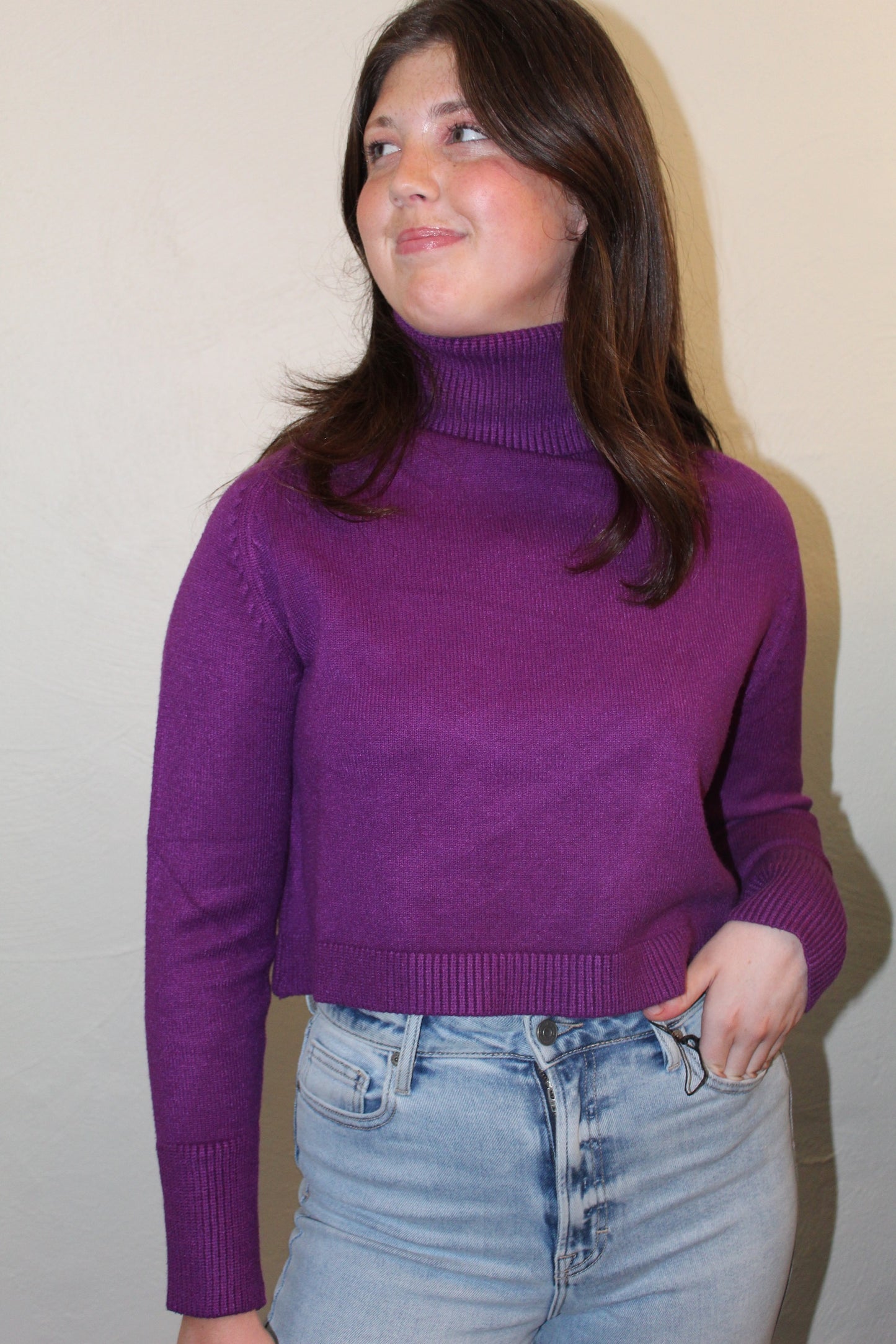 Cropped Sweater (2 colors)