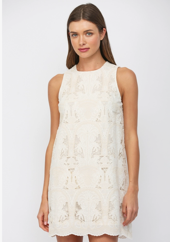 Lace Shift Dress