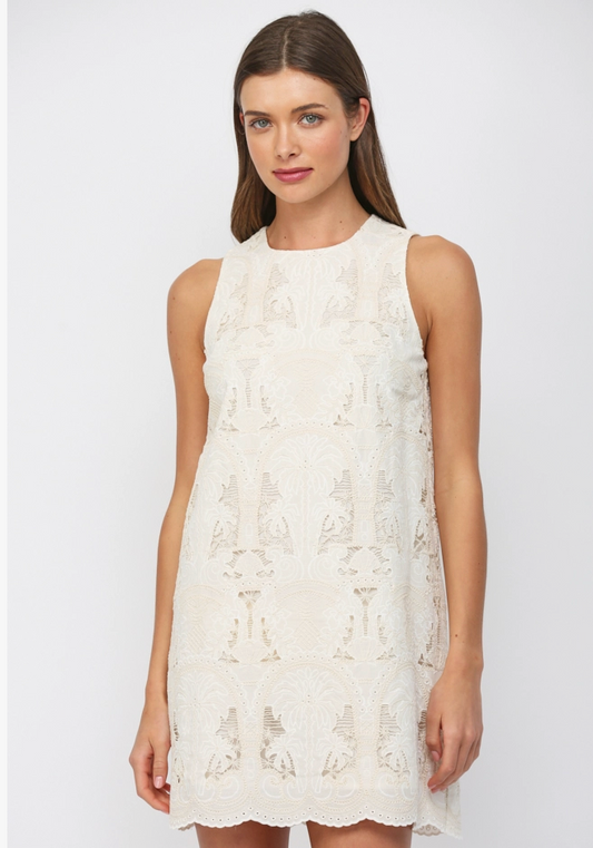 Lace Shift Dress