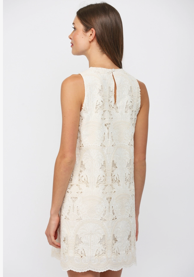 Lace Shift Dress