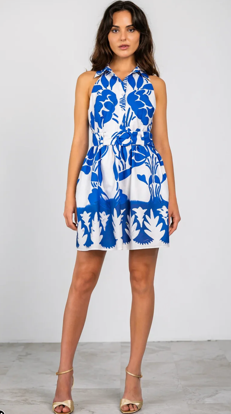Rayna Dress