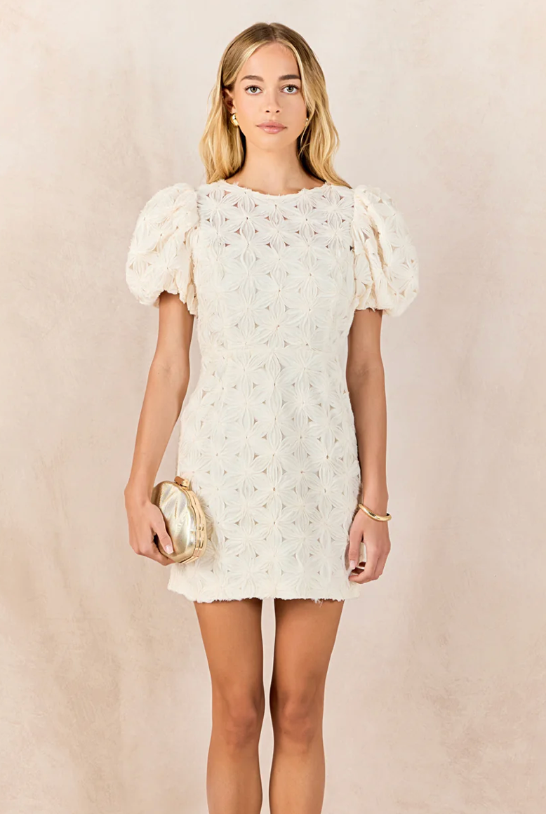 Textured Puff Sleeve Dress