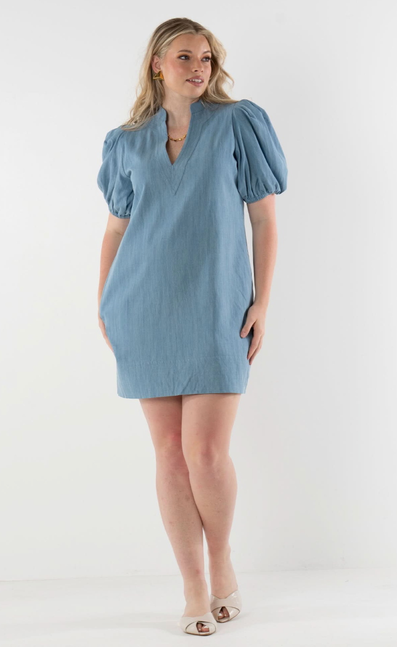 Hampton Mini Denim Dress