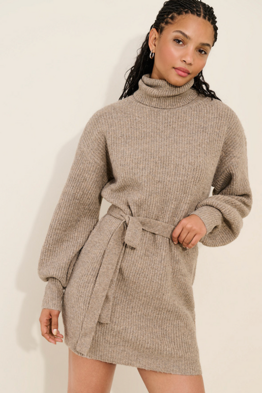 Audrina Turtleneck Sweater Dress