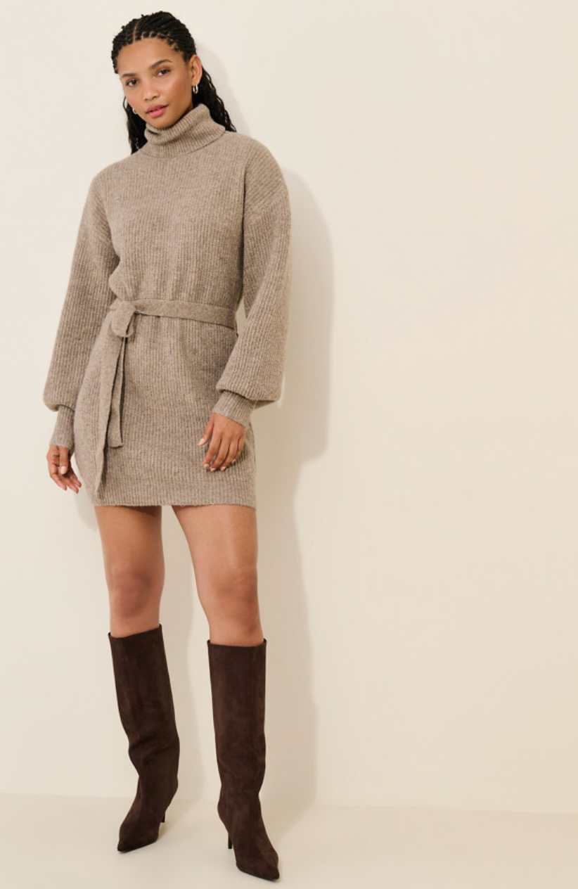 Audrina Turtleneck Sweater Dress