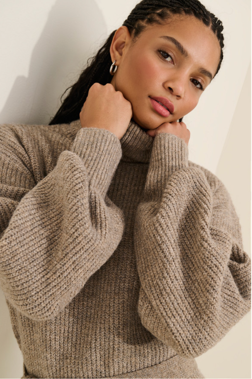 Audrina Turtleneck Sweater Dress