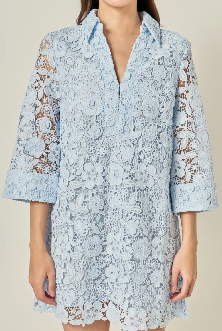 Guipure Lace Mini Dress