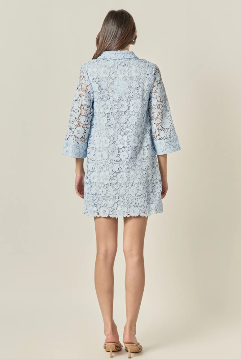 Guipure Lace Mini Dress